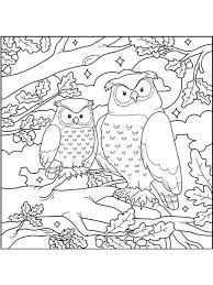 750 x 825 file type: Mama And Baby Owl Coloring Pages