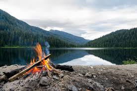 Firewood, just like many things in life, costs money. How To Responsibly Bring Firewood On Your Next Camping Trip