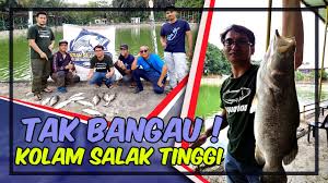 Idea lapar 10.952 views2 years ago. Strike Di Kolam Pancing Air Masin Salak Tinggi Youtube