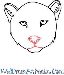 Let's build a figure of a cheetah from sticks and circles. How To Draw A Cheetah Head Step By Step Tutorial