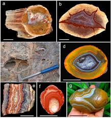 Image result for Agate 1982 Renault