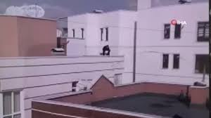 Cameras can be quite complicated because you need lots of things all working in tandem, camera bodies, lenses, settings, exposure etc, and thats. Russian Teen Falls To Death In Ankara Rooftop Parkour Daily Sabah Videos