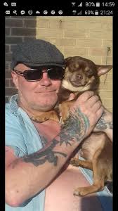 Chihuahua growth from baby to adult