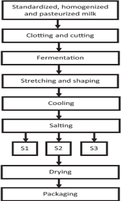 Flowchart Of The Production Of Mozzarella Cheese S1