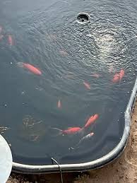 Image result for site:byggahus.se damm