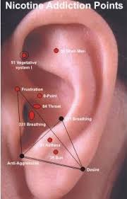 Pin Em Ear Acu