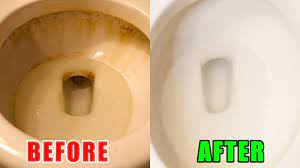 Check spelling or type a new query. How To Clean A Very Dirty Toilet Bowl Toilet Bowl Brush And Cleaner Test Youtube