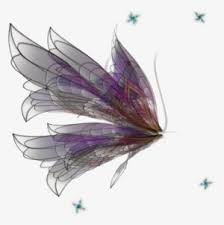 fairy wings png download transparent fairy wings png images for free nicepng fairy wings png download transparent