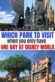 Discover walt disney world theme park tickets. Best Disney World Park For One Day Which Park You Should Choose Sand And Snow