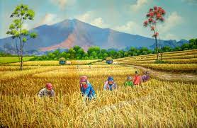 Gambar rumah di tepi sawah dengan pemandangan alam berupa tanaman padi, pegunungan dan pepohonan. 23 Gambar Lukisan Pemandangan Di Tepi Sawah Padi Pemandangan Indah Sekali