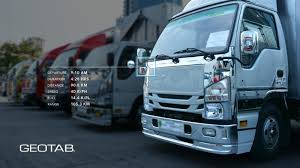 Image result for Tan 2020 Fleet