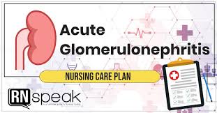 Proteinuria is the appearance of protein in the urine in cincentration determinable by qualitative. Acute Glomerulonephritis Agn Nursing Care Plan
