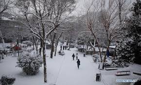 The bosphorus strait gleams silver. Snowfall Disrupts Land Sea Traffic In Turkey S Istanbul Global Times