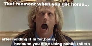 48 Dumb And Dumber Ideas Dumb And Dumber Dumb Quotes Good Movies