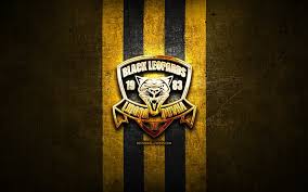 14,389 likes · 48 talking about this. Download Wallpapers Black Leopards Fc Golden Logo Premier Soccer League Yellow Metal Background Football Black Leopards Psl South African Football Club Black Leopards Logo Soccer South Africa For Desktop Free Pictures For