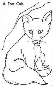 Tiere rund um den bauernhof kostenlose malvorlage: Ausmalbilder Fuchs Kostenlos Drucken Fur Madchen Und Jungen
