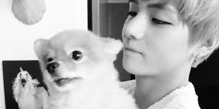 Résultat de recherche d'images pour "v BTS gif"