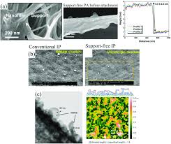 Check spelling or type a new query. A Sem Image And Afm Profile Of Free Standing Nanofilm Formed Without Download Scientific Diagram