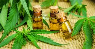 7 Bienfaits De L Huile De Cannabis Newsweed