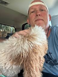 Dolly (fka Rabbit) is