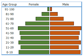 Simple 8 Steps To Create A Population Pyramid Chart In Excel