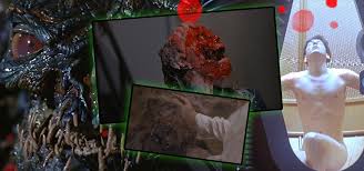 Trust us—and reddit—and watch one of these movies tonight. The Goriest Splatter Horror Films You Ve Never Seen Probably Horror Land The Horror Entertainment Website
