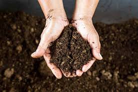 Get free shipping on qualified mulch or buy online pick up in store today in the outdoors department. How To Use Peat Moss In The Garden Gardener S Path