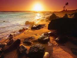 Mii de imagini noi adăugate zilnic utilizare complet gratuită videoclipuri și imagini la calitate înaltă de la pexels Nature Rock Quotes Quotesgram