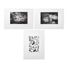 Fresh Home Furnishing Ideas And Affordable Furniture Ikea Art Picture Frame Wall Photo Frame Wall