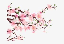 Hanging decorations png transparent subscribe button tumblr. Tumblr Static 640 V2 Cherry Blossom Png Image Transparent Png Free Download On Seekpng