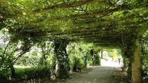 Jardin Des Olfacties A Coex Les Amies Du Boudoir