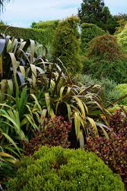 New Zealand Native Garden Google Search Native Garden Garden Landscape Design Garden Design