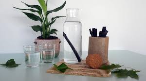 Le Binchotan Charbon Actif Pour Purifier L Eau Du Robinet Orinko