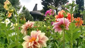 Parque Ecologico Xochitla Diversion Para Toda La Familia Mexico Travel Channel