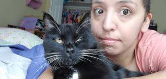 Parenting and Football Etiquette Discussion