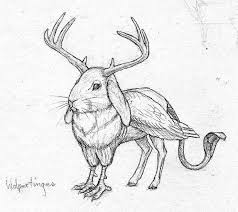 Creature Mashup Drawing Google Search Mythical Creatures Drawings Mythical Creatures Art Greek Mythical Creatures