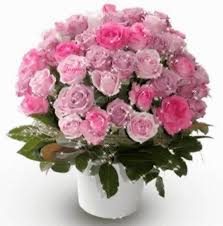 Große auswahl, immer gratis geliefert. Bouquet Rose Gif Bouquet Rose Discover Share Gifs Beautiful Flowers Images Beautiful Rose Flowers Birthday Flowers