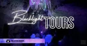 Guided Black Light Tour