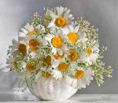 Check spelling or type a new query. Beautiful Places Flowers Nature Home Facebook