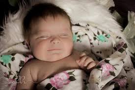 Danielle Hermsen Photography