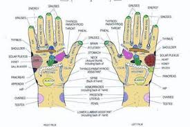 Reflexology Points On The Right And Left Hand A Wonderful