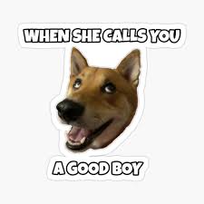 640 x 570 png 405 кб. When She Calls You A Good Boy Funny Shiba Meme Doge Pin By Cloudlights Redbubble