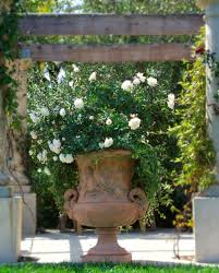Schicke Ideen Fur Ubertopfe Romantisches Ambiente Mit Efeu Und Rosen Gartencontainer Italienischer Garten Mediterrane Gartengestaltung