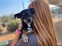 Frosted Faces 65 — Frosted Faces Foundation