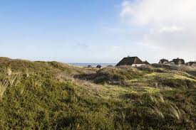 Attraktive häuser zur miete für jedes budget, auch von privat finden sie ihr traumhaus bei immowelt.de! Strandhaus An Der Nordsee Ferienhaus Nordsee