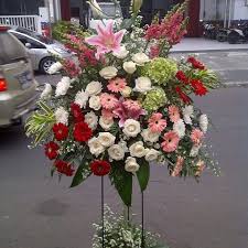 Bunga matahari memiliki 4 kelompok kultivar yang dibedakan berdasarkan kegunaan dan manfaat nya. Pasar Bunga Wastukencana Bandung Kota Bandung Jawa Barat Contoh Lif Co Id