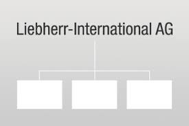 the organizational structure of the liebherr group liebherr