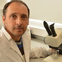 Centro de Estudios Parasitológicos y de Vectores (CEPAVE)