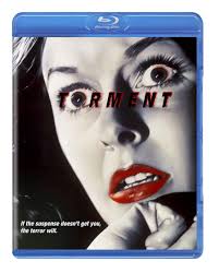 Torment : Aslanian, Samson, Hopkins, John, Gilbert, Taylor, Lincoln, Warren,  Witt, William: Amazon.se: Movies & TV