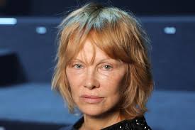 Adele sagt Wembley-Konzerte ab